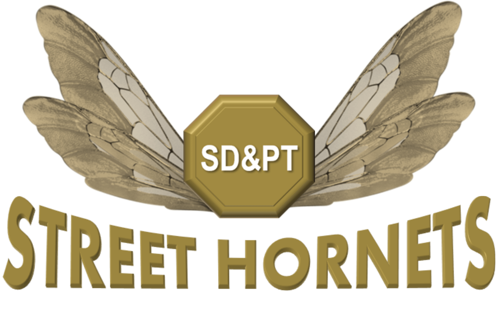 Street Hornets wings